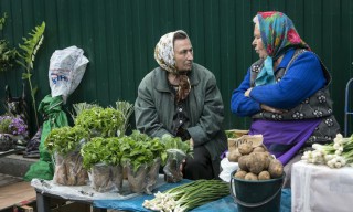 Госдума намерена продлить каникулы для самозанятых 